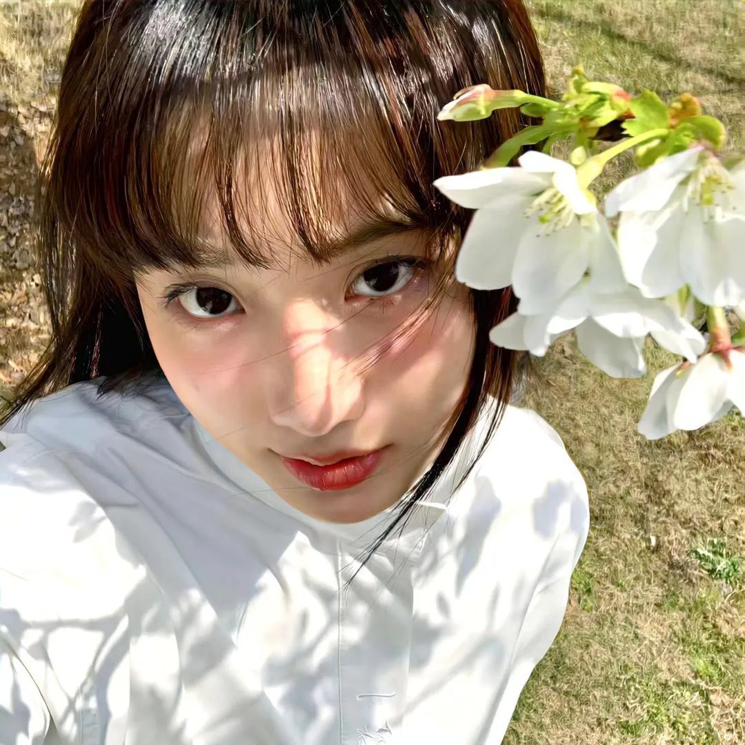 夏愿春梦